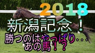 新潟記念G3 2018予想！勝つのはやっぱりブラストワンピース！？【競馬重賞予想シリーズ】