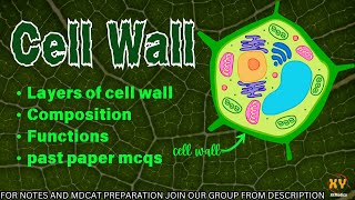 Cell wall structure and function Class 11 biology | Mdcat biology lectures