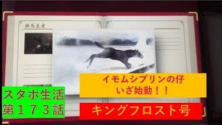 イモムシプリンの仔、いざ始動！！　スタホ生活第173話　【ゆっくりスタホ3実況】