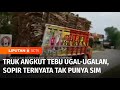 Viral! Truk Angkut Tebu Melaju Ugal-Ugalan, Sopir Ternyata Tak Punya SIM | Liputan 6