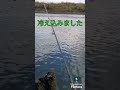 2024.12.14午後はさらに寒かったような？宇治川ブラックバス釣り！ 釣り fishing bassfishing