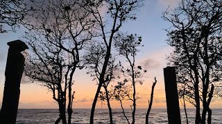 Beauty of Sri Lanka | Wellawatte Beach