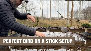 Winter Bird Photography: A Spectacular Setup in Action!