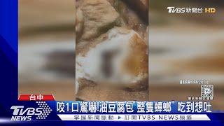 咬1口驚嚇!油豆腐包「整隻蟑螂」 吃到想吐｜TVBS新聞 @TVBSNEWS02