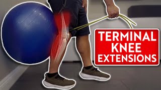 The Best Exercise for Knee Pain | Physical Therapist Teaches