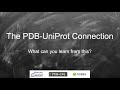 The PDB UNP Connection