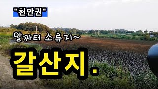 [천안]_ 갈산지 낚시 포인트 / 알짜터 소류지 / 토종터 / 충남 천안시 입장면 연곡리 17