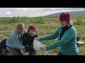 melting wetlands how can nature slow down climate change dw documentary