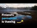 Melting wetlands - How can nature slow down climate change? | DW Documentary