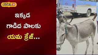 Ongole: ఇక్కడ గాడిద పాలకు యమ క్రేజ్...| #local18