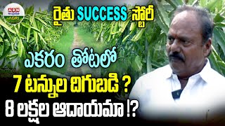 ఎకరం తోటలో ఏడు టన్నుల దిగుబడి | 7 tons of yield per 1 acre - ABN Agri