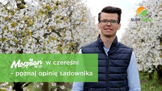 Mospilan 20 SP w czereśni – poznaj opinię sadownika