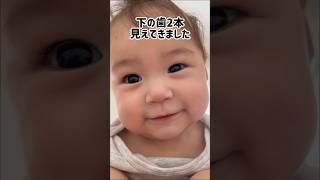 【生後5ヶ月赤ちゃん】初めて生えてきた歯を披露？#shorts