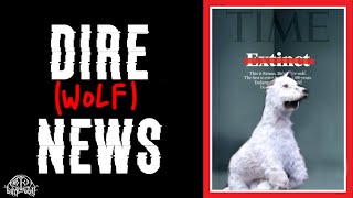 They Finally Admitted It S Just Gray Wolves