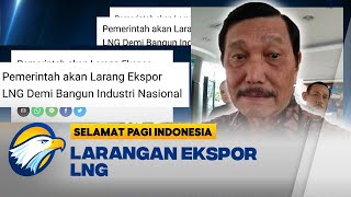 Demi Bangun Industri Nasional, Pemerintah akan Larang LNG