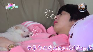 MONSTA X 【日本語字幕】犬みたいな1日 ep.3