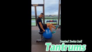 Seated Single Leg Swiss Ball Tantrums