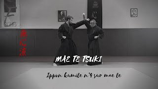 Mushin ryu Ju jitsu: Ippon kumite: Mae te tsuki N°4.