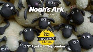 🐑 Noah's Ark Zoo Farm Hide and Sheep Trail 🐑