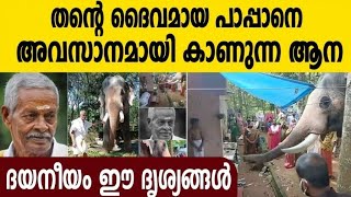 പാപ്പാന്‍ ഓമനച്ചേട്ടനെ അവസാനമായി കാണാന്‍ തന്റെ ആന ബ്രഹ്‌മദത്തന്‍ വീട്ടിലെത്തിയപ്പോള്‍...😢😢