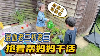 混血娃三歲老二和兩歲老三，給院裡花兒澆澆水：知道幫媽媽乾活了