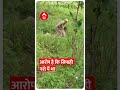 jalaun viral video ... जब आपस में भिड़ गए सिपाही और होमगार्ड एक दूसरे को गिरा गिराकर पीटा