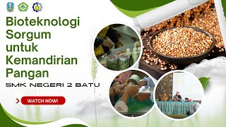 Bioteknologi Sorgum: Langkah Menuju Kemandirian Pangan Bersama SMKN 2, ITS & Rumah Sorgum