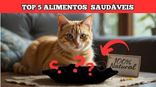 💥TOP 5 Alimentos Naturais Para o Seu Gato🐱