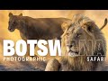 AMAZING Botswana Photo Safari (Chobe - Delta - Kalahari) @PangolinWildlife