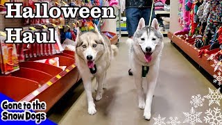 Dogs Go Shopping at PetSmart for Halloween | Petsmart Halloween Haul for Dogs