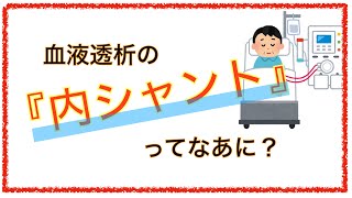 教科書をわかりやすく！「血液透析の内シャントってなに？」