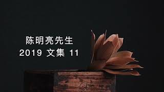 陈明亮先生2019 合集 11｜作为终极的目击者的你自己，永远都无法目击“死亡”，因为在假设的“死亡”发生前，你目击 到的经验内容已经变掉了，先前那个“身体”不知道去哪里了，好像根本就没有存在过。