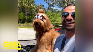 This man and his fluffy goldendoodle are redefining friendship goals l GMA