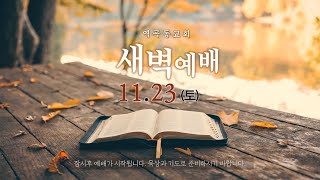 역곡동교회 24.11.23(토) 새벽예배