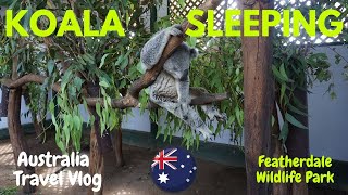 Featherdale Wildlife Park (A Wildlife Zoo in Australia) | Australia Travel Vlog | 16D18