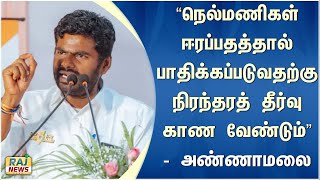 ”நெல்மணிகள் ஈரப்பதத்தால் பாதிக்கப்படுவதற்கு நிரந்தரத் தீர்வு காண வேண்டும்” - அண்ணாமலை