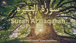 Lofi Quran | Surah Al Baqarah FULL |  سورة البقرة كامل للقارئ عمر هشام العربي | Omar Hisham Al Arabi