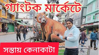 গ্যাংটক মার্কেটে সস্তায় কেনাকাটা  | Gangtok MG Market  | Gangtok Lal Market | Sikkim Market