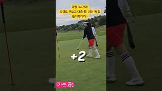 3미터 퍼터 라이도 안보고 대충 툭 쳐야 꼭 잘들어가요~~ #골프 #golf #골린이 #golflife #라운딩 #golfswing #퍼터