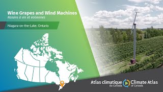 Wine grapes and Wind Machines: Innovative collaborations protect wine industry