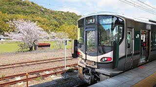 🇯🇵5 days unlimited rides on all trains in Japan! | Seishun 18 ticket [$100]