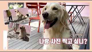 줄 서서 사진 찍는 인기 폭발 여름이?｜용인 대형견 동반 가능 카페 ｜ 카페엠