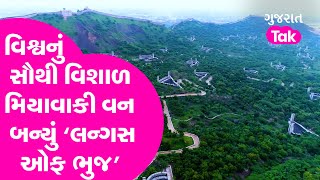 World Environment Day: Kutch માં વિશ્વનું સૌથી વિશાળ મિયાવાકી વન બન્યું ‘Lungs of Bhuj’ |Gujarat Tak