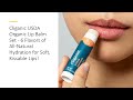 cliganic usda organic lip balm set 6 flavors of all natural hydration for soft kissable lips