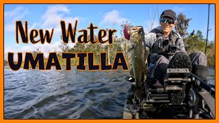 Exploring New Water - Lake Umatilla, FL - 10/29/24