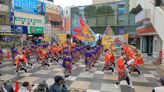 【 なるたか | FLY 】町田夢舞生ッスイ祭2024 小田急駅前東口広場会場 ステージ形式 #yosakoi #dance