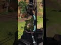 Apex legends gameplay #shorts