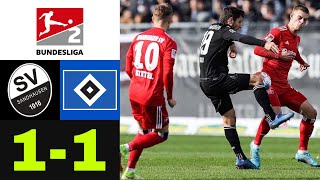 SV Sandhausen 1-1 Hamburger SV | Alle Tore und Highlights | 2. Bundesliga