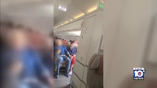 Download Passenger opens emergency exit door during flight mp3