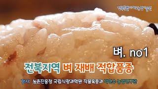 [농업인 실용 교육] #벼. 1강/ 전북지역 벼 재배 적합품종 /새해농업인 실용교육